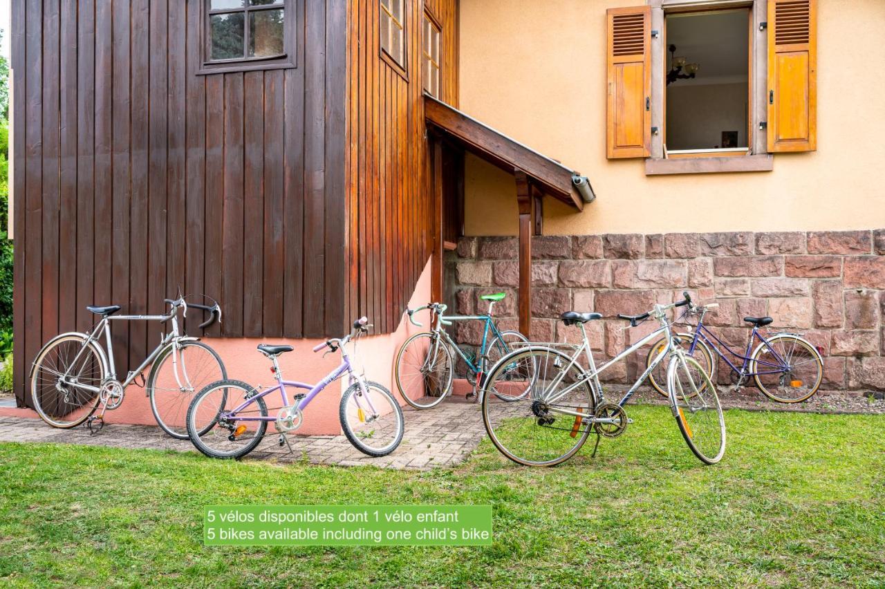 La Maison De Vacances De Colmar Et Son Jardin מראה חיצוני תמונה